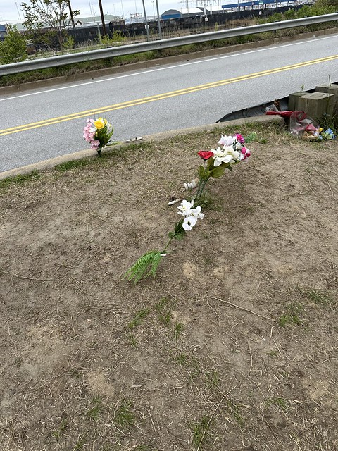 Flowers along the shore near the Key Bridge accident