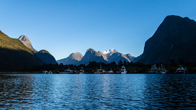 Early Morning at Milford Sound, NZ