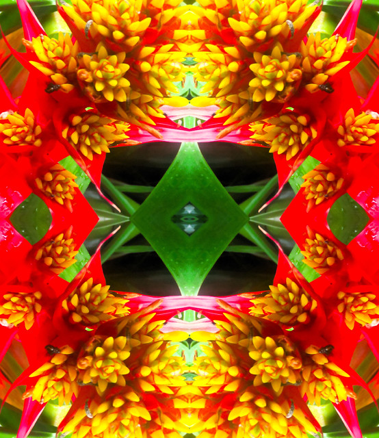 Olbrich Gardens Flower Quadrant Kaleidoscope (3)