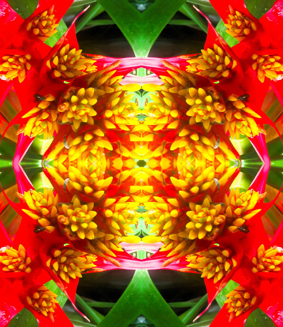 Olbrich Gardens Flower Quadrant Kaleidoscope (4)