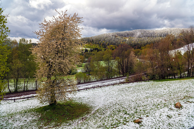 Šumava | Snow-covered springtime