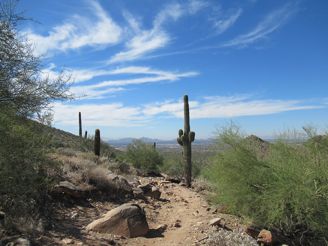 McDowell Sonoran Preserve, Scottsdale, Arizona