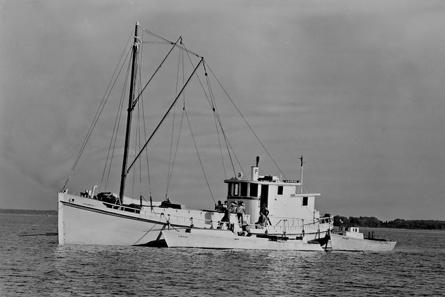 1954 Chesapeake Bay oyster buyboat A. G. Price, Maryland