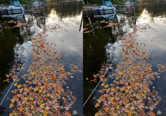 Herbst am Bootssteg  Autumn at the boat mooring