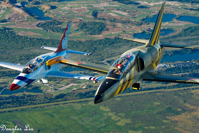 A Pair of L-39 Albatros (Air to Air, Lakeland, Florida)