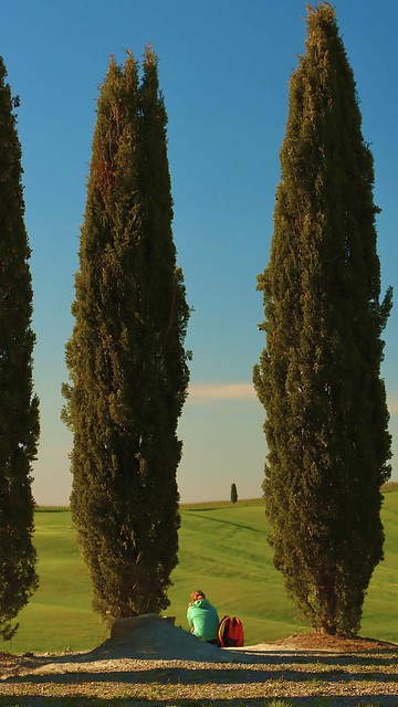Tuscany, province of Siena, Orcia Valley, Unesco site. Cypresses of San  Quirico d’Orcia.