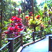 Hawaii Tropical Botanical Gardens, Papaikou, HI