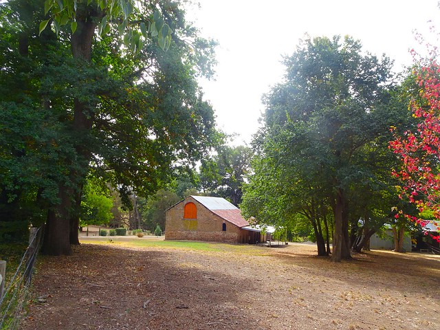Gumeracha. The heritage lited stone barn built at Kenton Park by William Beavis Randell in 1841. Surrounded by enormous English Elms.