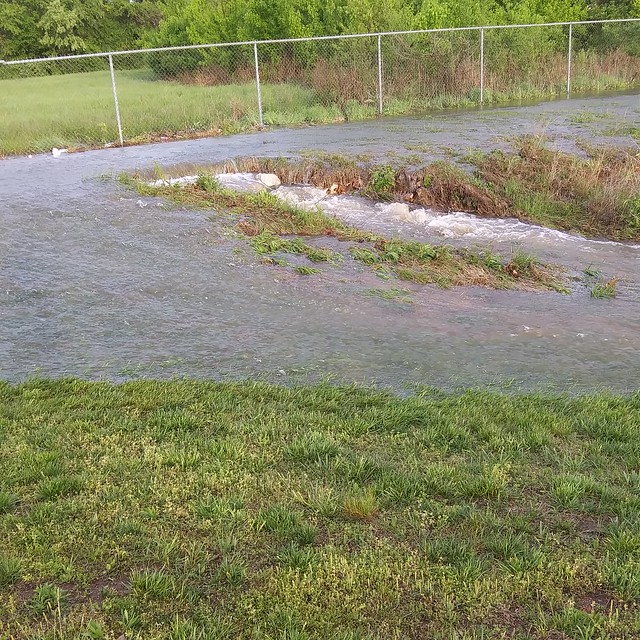 Flooding at the Park