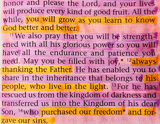 Colossians 1: 10 - 14