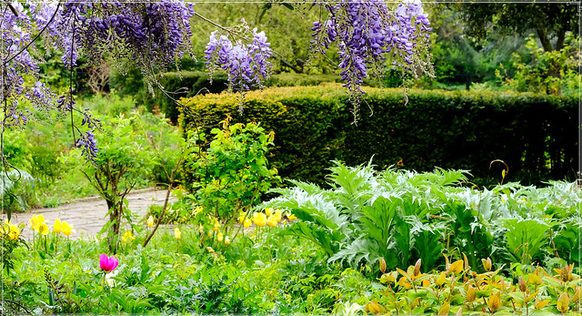 Sexby's Gardens London Spring Colours..
