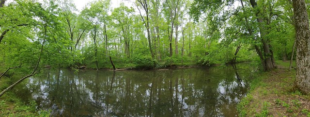 A Panoramic View of the Creek