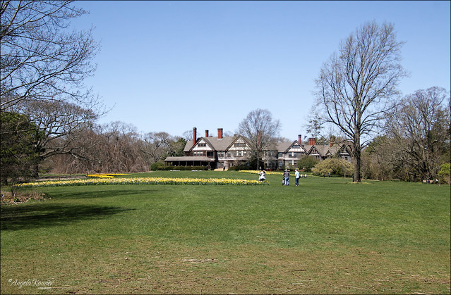 The Mansion and Great Lawn...