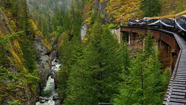 Rocky Mountaineer northbound in Cheakamus Canyon near Whistler, BC - 27 April 2024 [© WCK-JST]