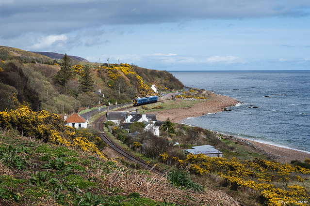 The Coastal Express