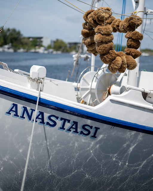 The Anastasi