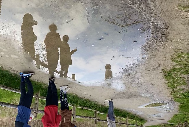 Puddle art in the park