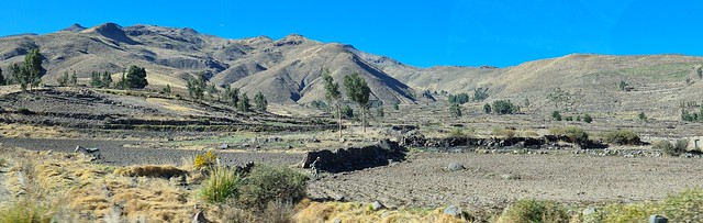 Farmland, Colca Valley near Chivay, Arequipa, Peru
