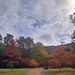Autumn at Myrtle Park Tasmania