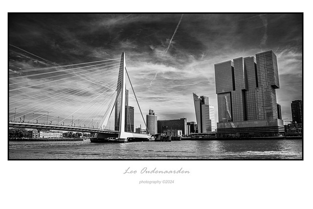 My Rotterdam