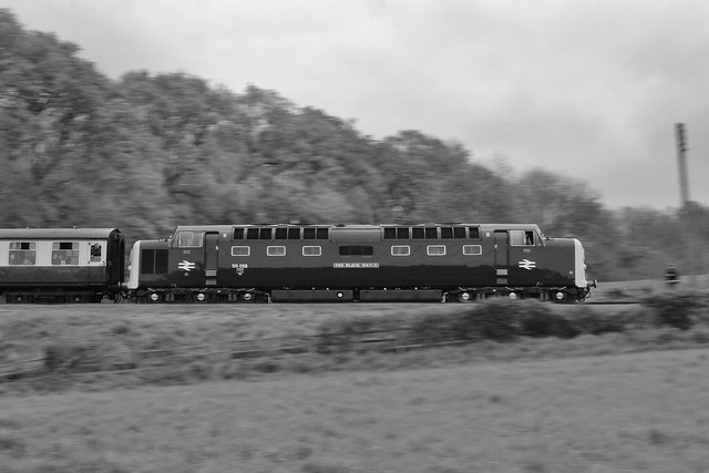 55013 'The Black Watch' | Kinchley Lane | Great Central Railway | 27.04.2024