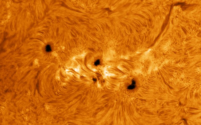 Solar active region AR3654