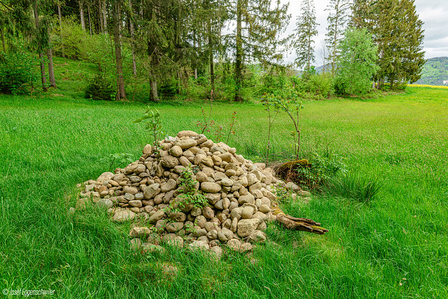 Am Waldrand Steinhaufen als Naturoase/At the edge of the forest, stone piles as a natural oasis