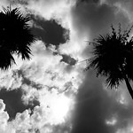 Look Up SOOC Florida Keys Argentum for IOS Ansel Adams filter