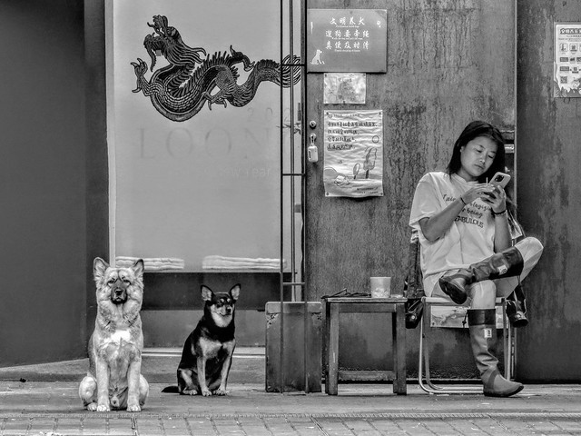 A dragon (loong), two dogs and a smoking girl