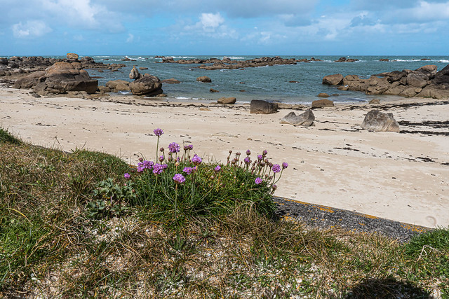 _DSC1407 Finistere Nord
