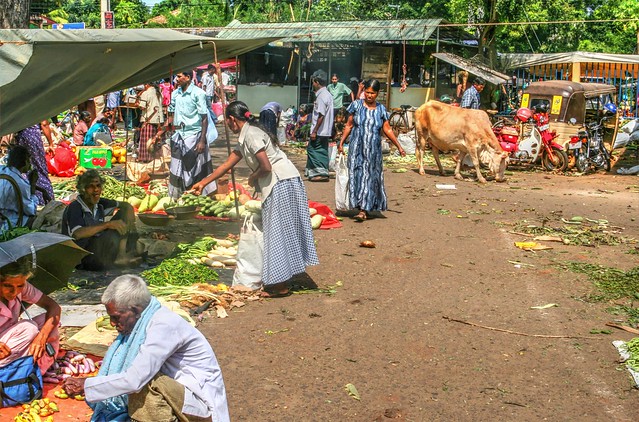 Markt in Hambantota