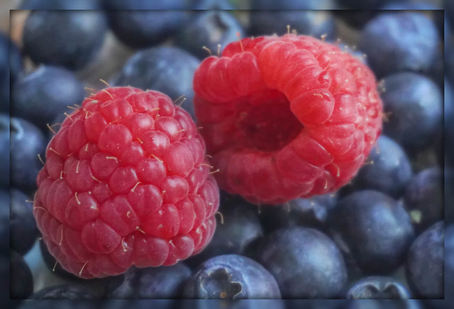 Macro Mondays: Berries