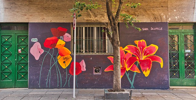 2024 - Buenos Aires - 81 of - Sara Scopece Mural in San Telmo