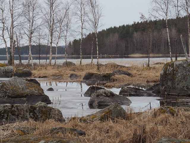Nenäinniemi Lake Päijänne, Jyväskylä 28.4.24...