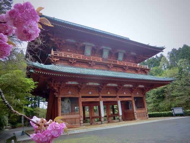 重要文化財◎高野山大門-1  Koyasan-daimon 💕