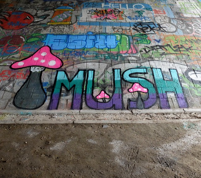 Mssls - Mush