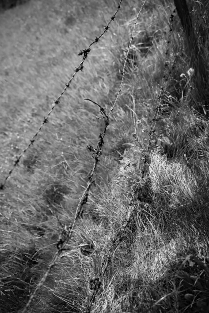 Stacheldrahtzaun, irgendwie - barbed wire fence, somehow