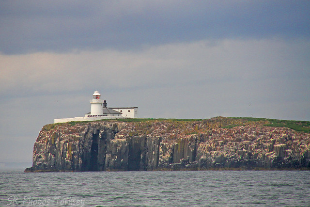 Farne Islands Northumberland