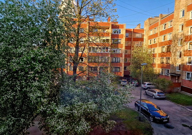 Spring in my backyard. Riga, Latvia. April 28, 2024