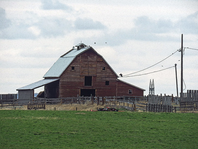 02 Old barn