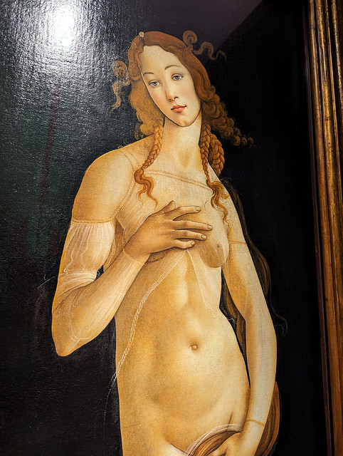 Botticelli at the Savoy Gallery in the Royal Palace, Turin