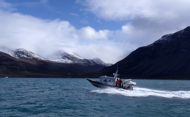 Bouncing Along in Greenland's Fjords