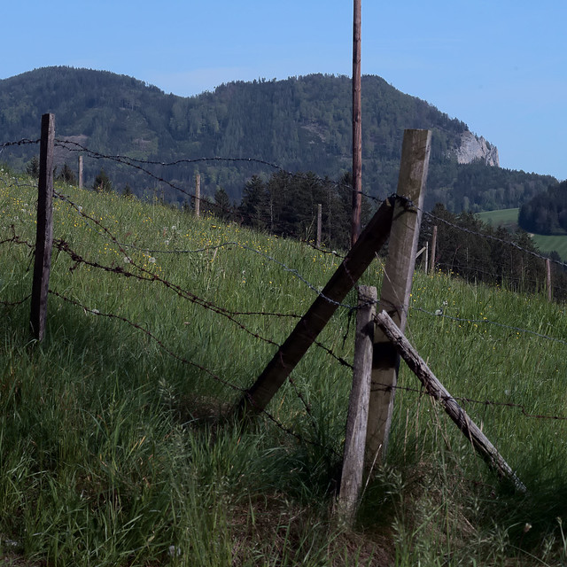 Stacheldrahtzaun - barbed wire fence