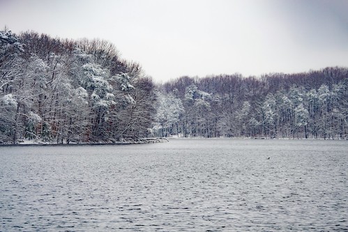 Burke Lake in Winter 
