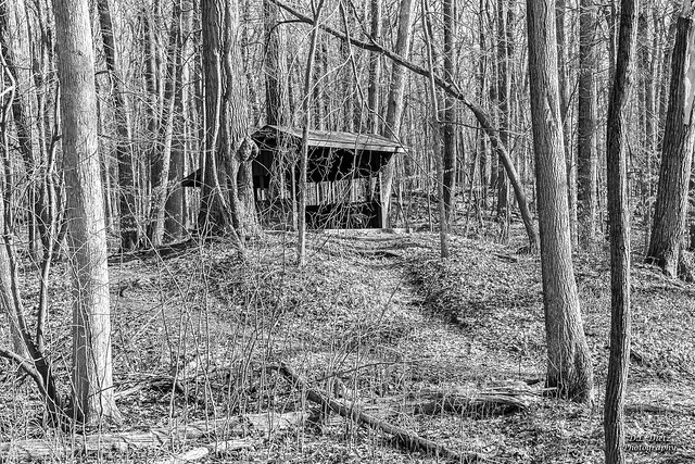 Shelter by Deer Run Trail (2024-03-13 #74)