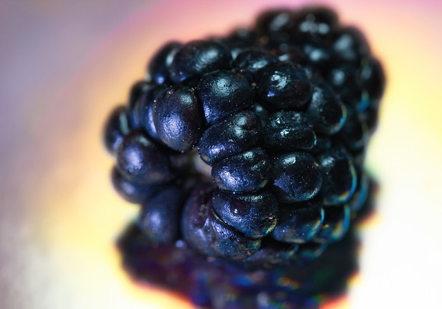 Blackberry splendor