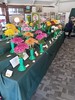 Chrysanthemum Competition 2024