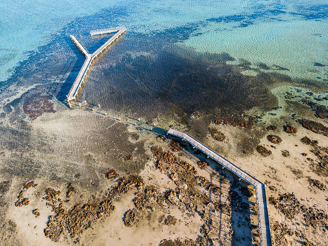 Stromatolites of Shark Bay