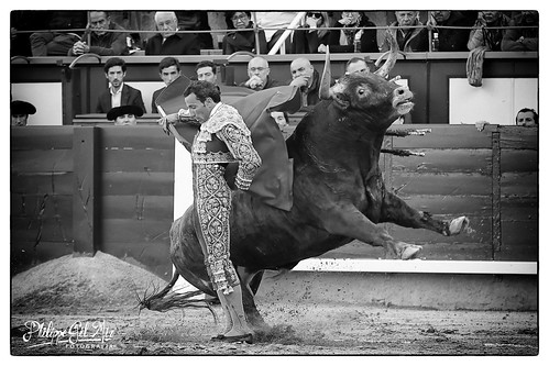 Madrid – Las Ventas 28-04-2024 Toros de Francisco Javier Arauz de Robles © Philippe Gil Mir
