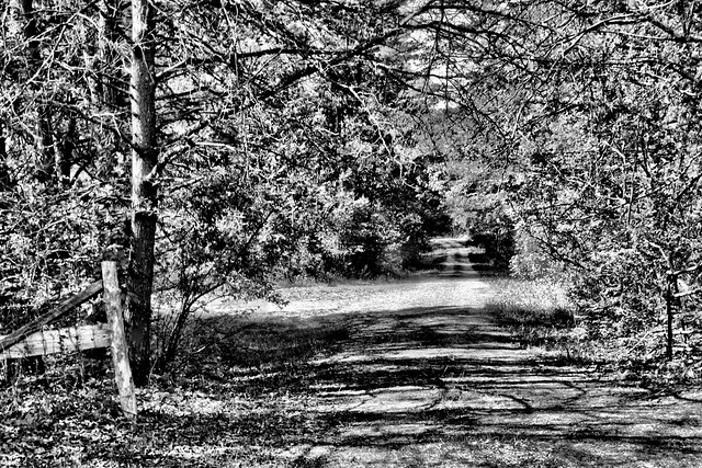 Owens Cemetery Road bw Fentress County Tennessee